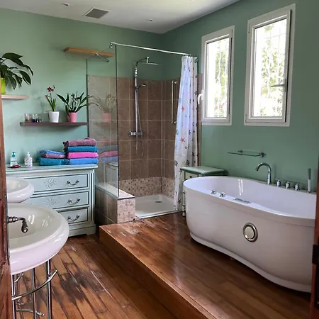 Outis ホームステイ